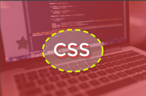 كورس css كامل للمبتدئين