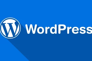 WordPress ووردبريس